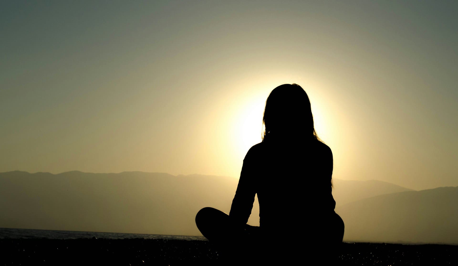 Wellness Intelligence